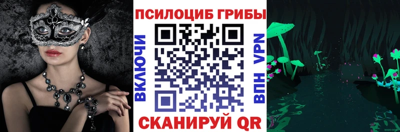 Псилоцибиновые грибы Cubensis Вышний Волочёк